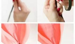 白玫瑰不能随便送人